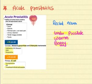 Acute prostatitis