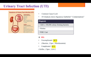 urinary tract infection img